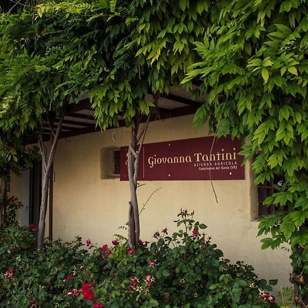 Agriturismo I Mischi Castelnuovo del Garda Zewnętrze zdjęcie