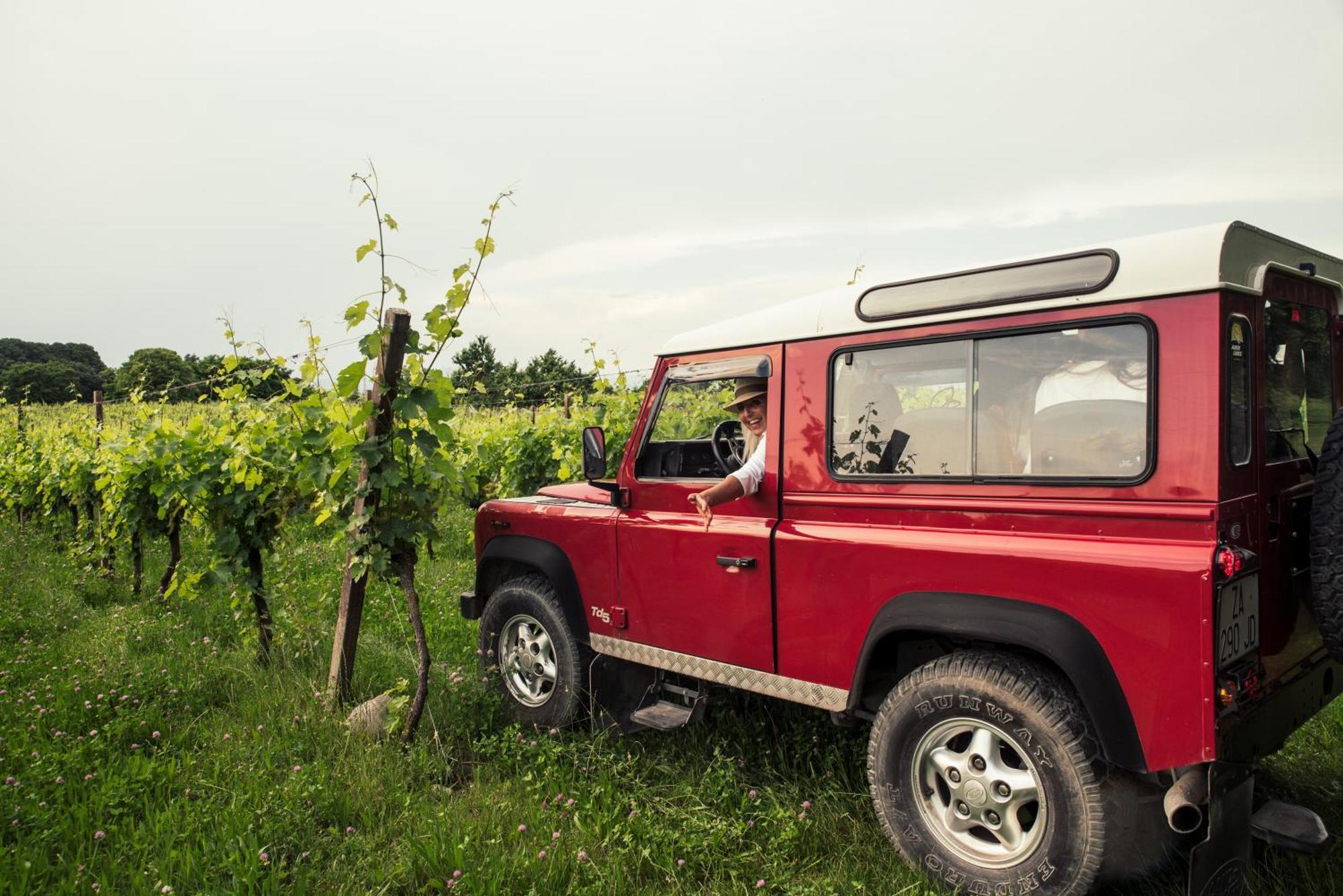 Agriturismo I Mischi Castelnuovo del Garda Zewnętrze zdjęcie