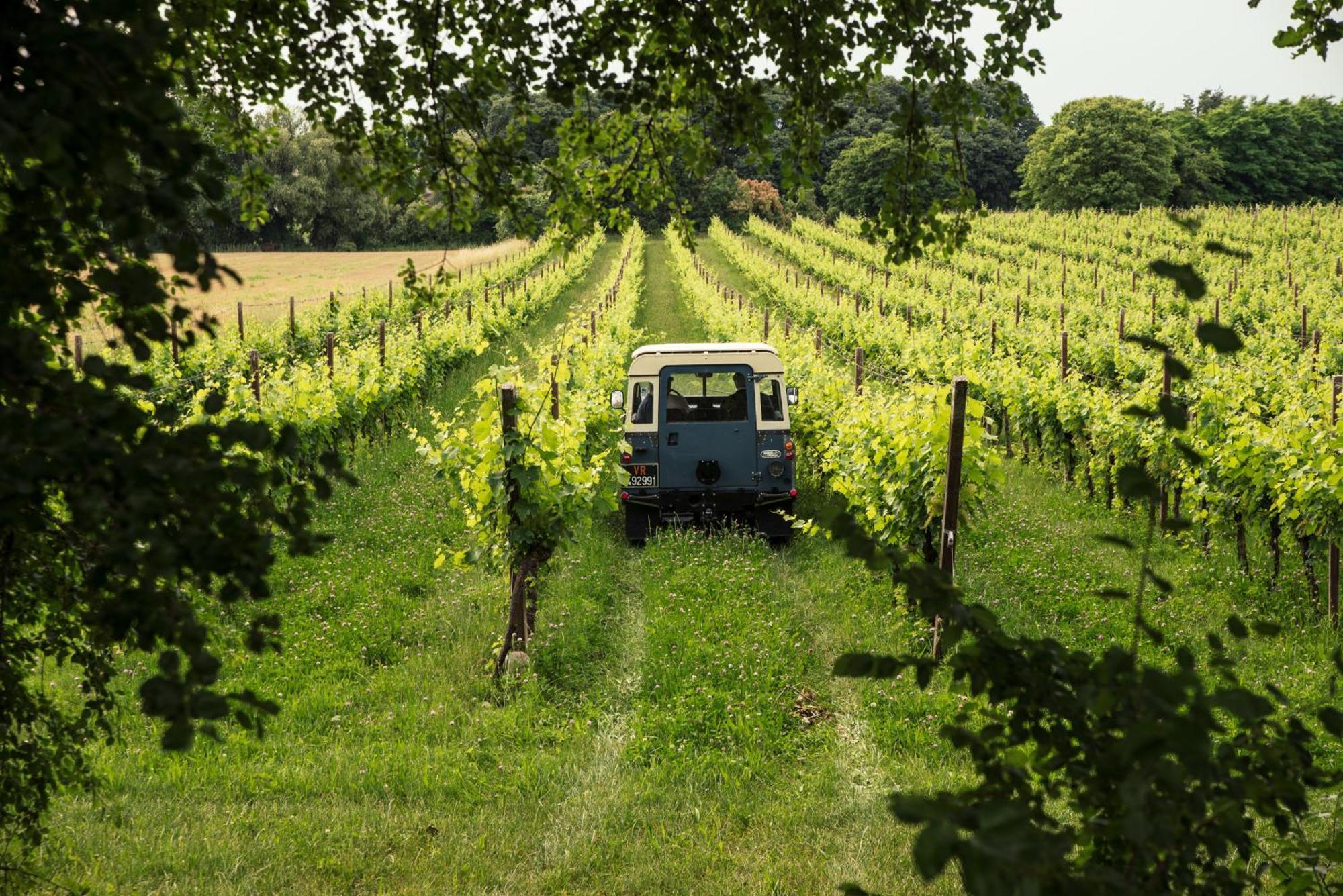 Agriturismo I Mischi Castelnuovo del Garda Zewnętrze zdjęcie