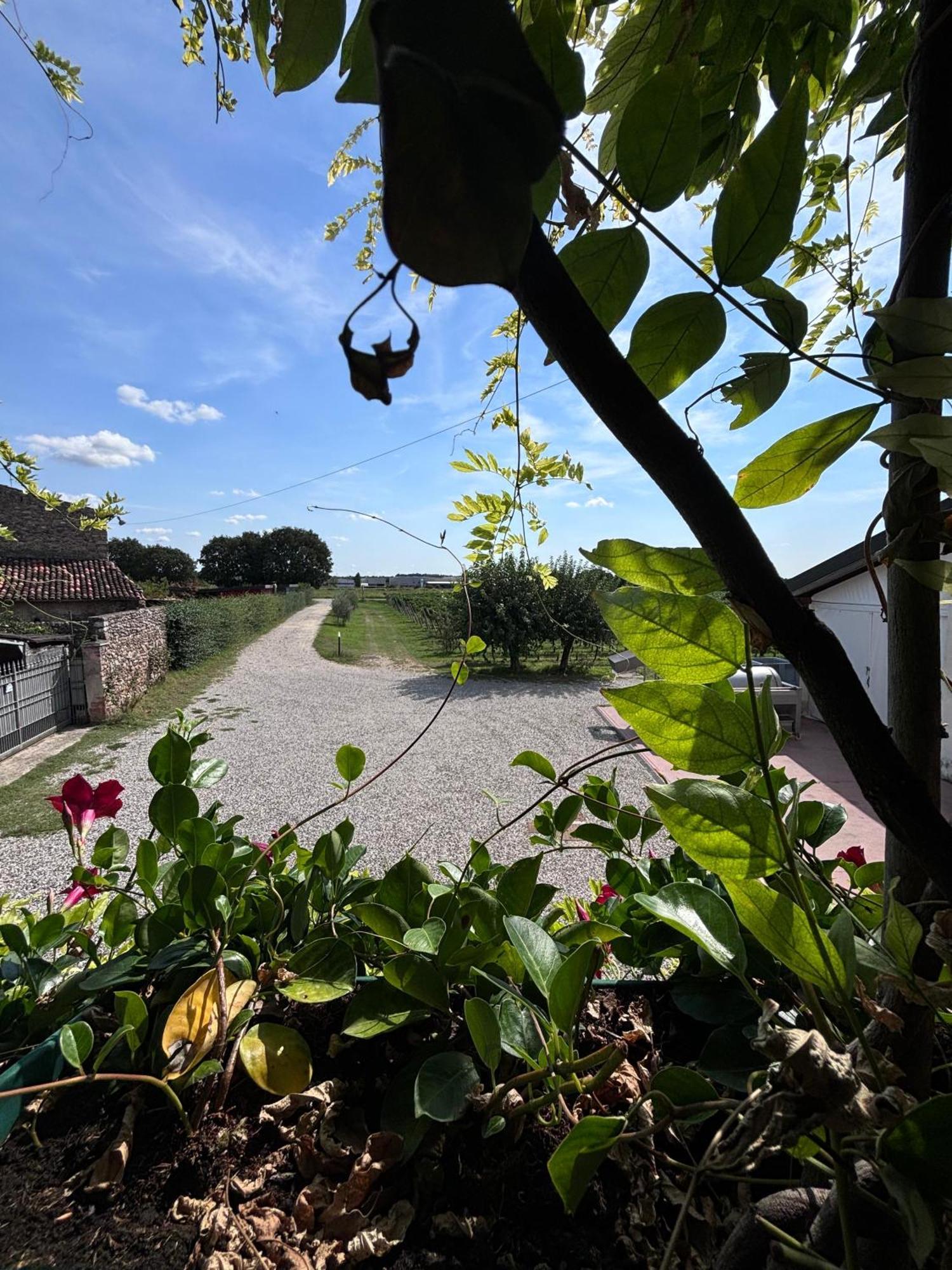 Agriturismo I Mischi Castelnuovo del Garda Zewnętrze zdjęcie